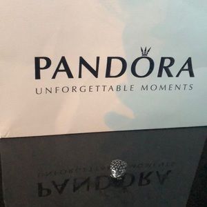 Pandora Silver HedgeHog Charm